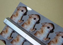 出来上がった写真